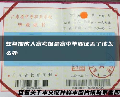 想参加成人高考但是高中毕业证丢了该怎么办缩略图