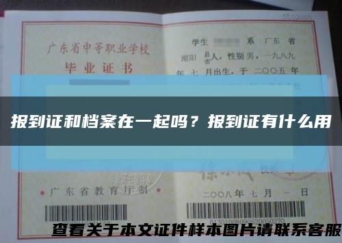 报到证和档案在一起吗？报到证有什么用缩略图