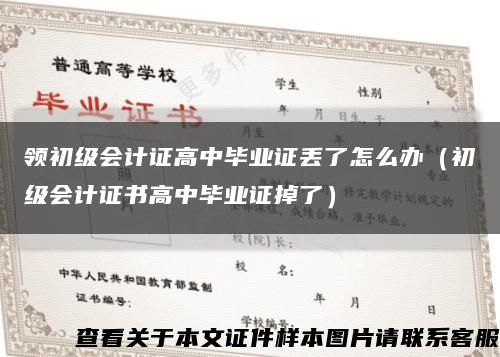 领初级会计证高中毕业证丢了怎么办（初级会计证书高中毕业证掉了）缩略图