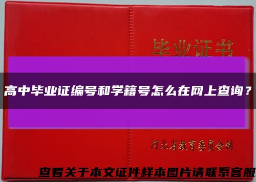 高中毕业证编号和学籍号怎么在网上查询？缩略图