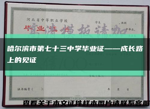 哈尔滨市第七十三中学毕业证——成长路上的见证缩略图