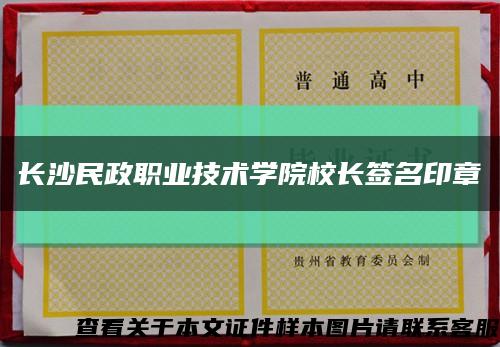 长沙民政职业技术学院校长签名印章缩略图