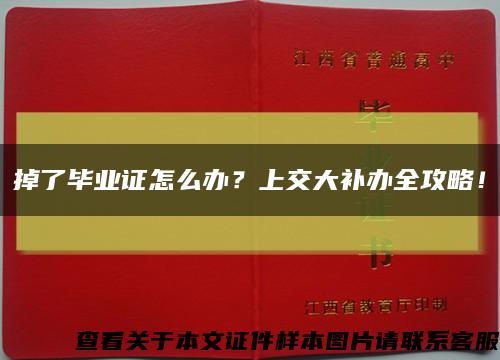 掉了毕业证怎么办？上交大补办全攻略！缩略图