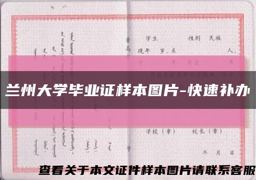 兰州大学毕业证样本图片-快速补办缩略图