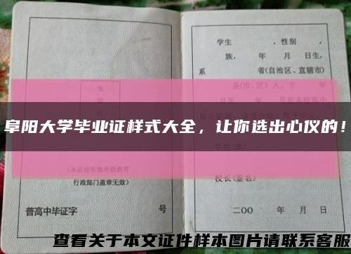 阜阳大学毕业证样式大全，让你选出心仪的！缩略图