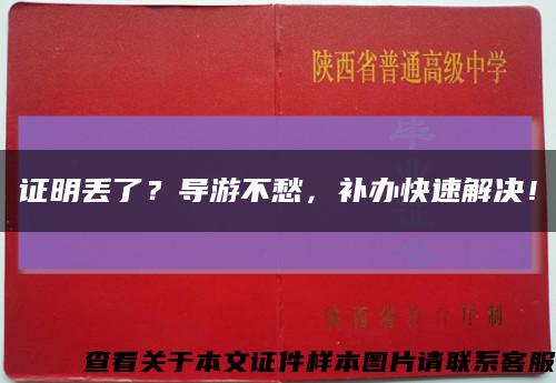 证明丢了？导游不愁，补办快速解决！缩略图