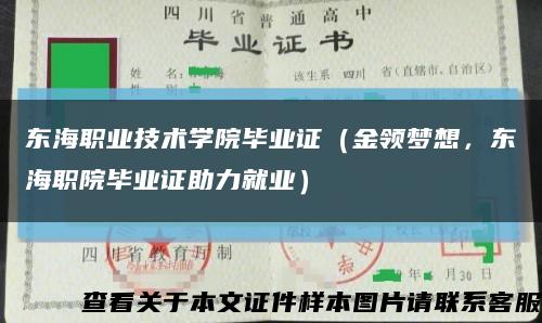 东海职业技术学院毕业证（金领梦想，东海职院毕业证助力就业）缩略图