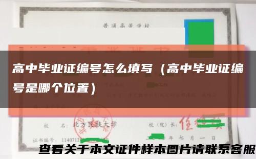 高中毕业证编号怎么填写（高中毕业证编号是哪个位置）缩略图