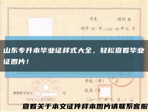 山东专升本毕业证样式大全，轻松查看毕业证图片！缩略图