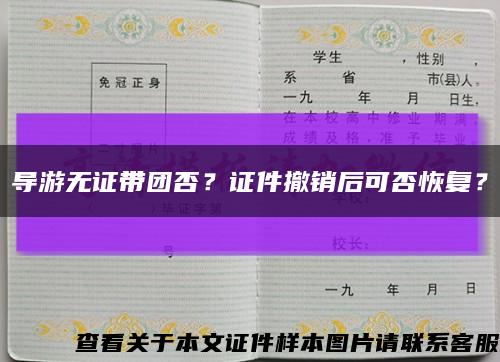 导游无证带团否？证件撤销后可否恢复？缩略图