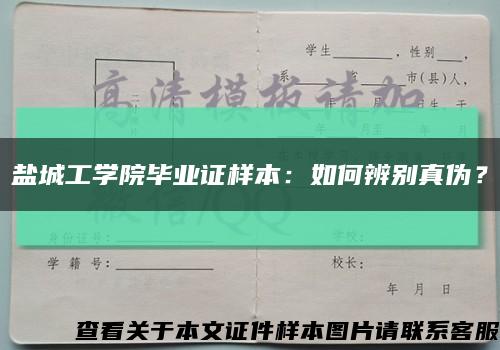 盐城工学院毕业证样本：如何辨别真伪？缩略图