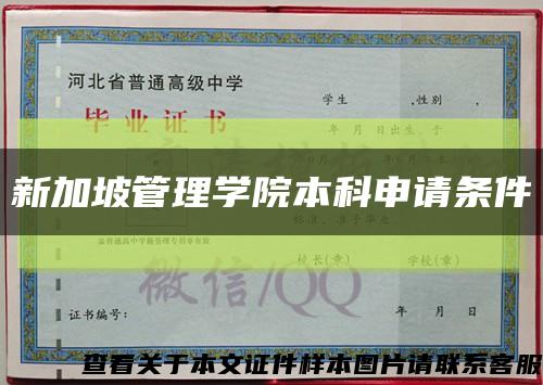 新加坡管理学院本科申请条件缩略图