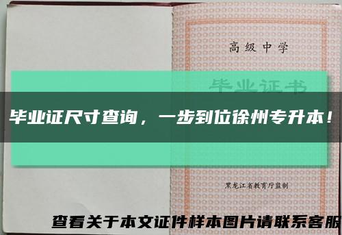 毕业证尺寸查询，一步到位徐州专升本！缩略图