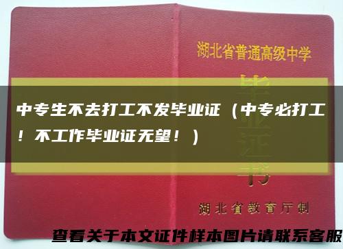 中专生不去打工不发毕业证（中专必打工！不工作毕业证无望！）缩略图