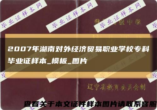 2007年湖南对外经济贸易职业学校专科毕业证样本_模板_图片缩略图