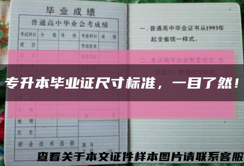 专升本毕业证尺寸标准，一目了然！缩略图