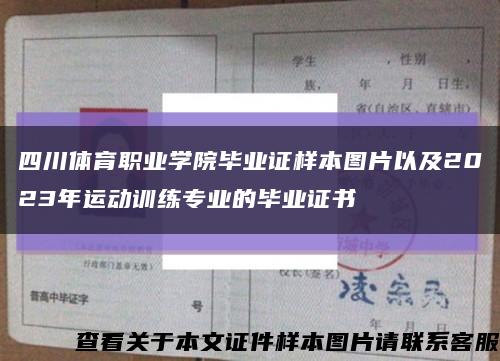 四川体育职业学院毕业证样本图片以及2023年运动训练专业的毕业证书缩略图