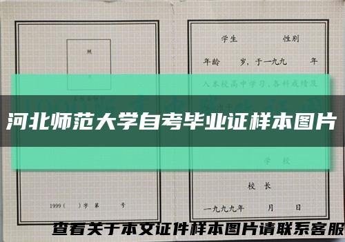 河北师范大学自考毕业证样本图片缩略图