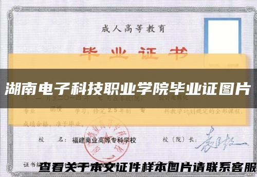 湖南电子科技职业学院毕业证图片缩略图