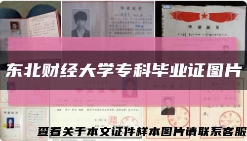 东北财经大学专科毕业证图片缩略图