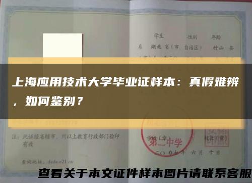 上海应用技术大学毕业证样本：真假难辨，如何鉴别？缩略图