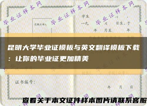 昆明大学毕业证模板与英文翻译模板下载：让你的毕业证更加精美缩略图