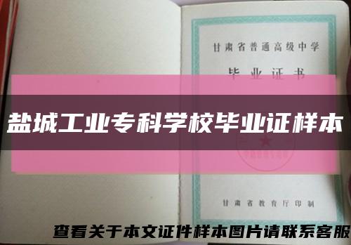 盐城工业专科学校毕业证样本缩略图