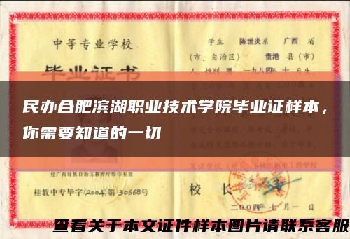 民办合肥滨湖职业技术学院毕业证样本，你需要知道的一切缩略图