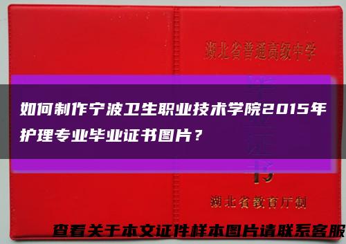 如何制作宁波卫生职业技术学院2015年护理专业毕业证书图片？缩略图