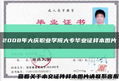 2008年大庆职业学院大专毕业证样本图片缩略图