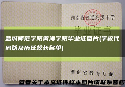 盐城师范学院黄海学院毕业证图片(学校代码以及历任校长名单)缩略图