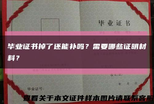 毕业证书掉了还能补吗？需要哪些证明材料？缩略图