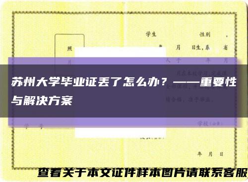 苏州大学毕业证丢了怎么办？——重要性与解决方案缩略图