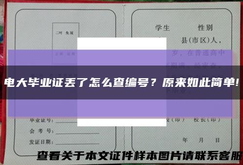 电大毕业证丢了怎么查编号？原来如此简单!缩略图