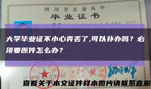 大学毕业证不小心弄丢了,可以补办吗？必须要原件怎么办？缩略图