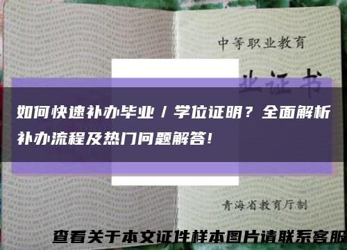 如何快速补办毕业／学位证明？全面解析补办流程及热门问题解答!缩略图