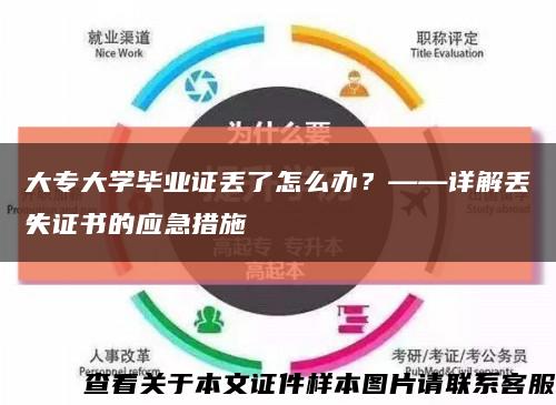 大专大学毕业证丢了怎么办？——详解丢失证书的应急措施缩略图