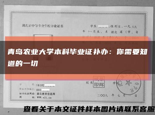 青岛农业大学本科毕业证补办：你需要知道的一切缩略图