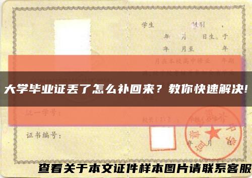 大学毕业证丢了怎么补回来？教你快速解决!缩略图