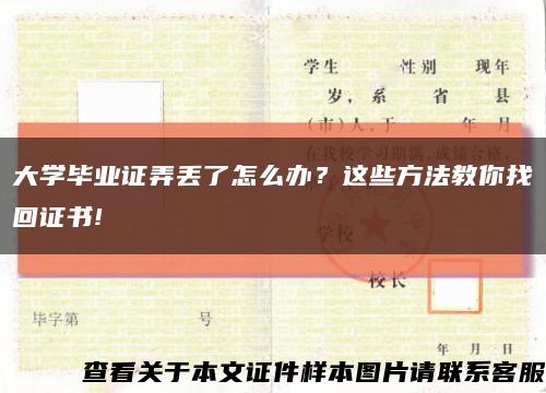 大学毕业证弄丢了怎么办？这些方法教你找回证书!缩略图