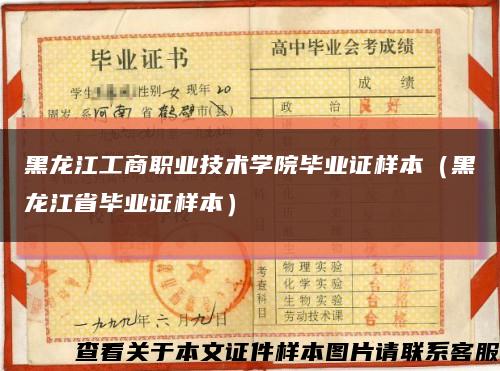 黑龙江工商职业技术学院毕业证样本（黑龙江省毕业证样本）缩略图