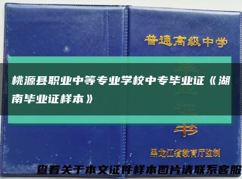 桃源县职业中等专业学校中专毕业证《湖南毕业证样本》缩略图