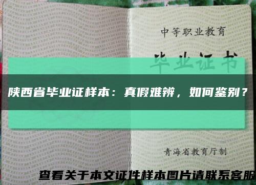 陕西省毕业证样本：真假难辨，如何鉴别？缩略图