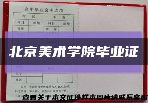 北京美术学院毕业证缩略图