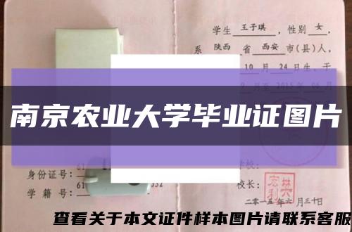 南京农业大学毕业证图片缩略图