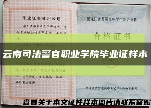 云南司法警官职业学院毕业证样本缩略图