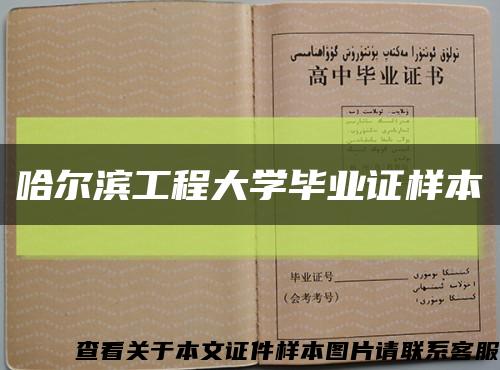 哈尔滨工程大学毕业证样本缩略图