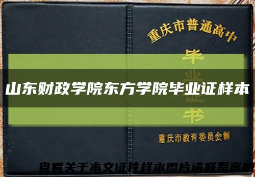 山东财政学院东方学院毕业证样本缩略图