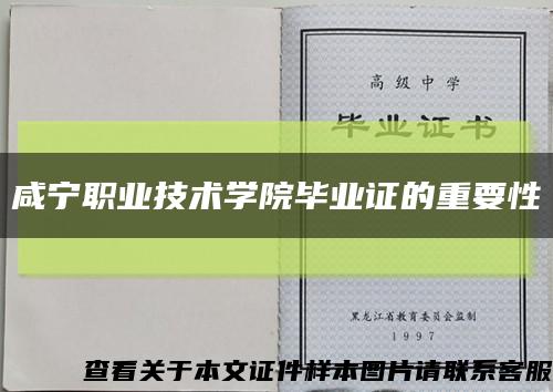 咸宁职业技术学院毕业证的重要性缩略图