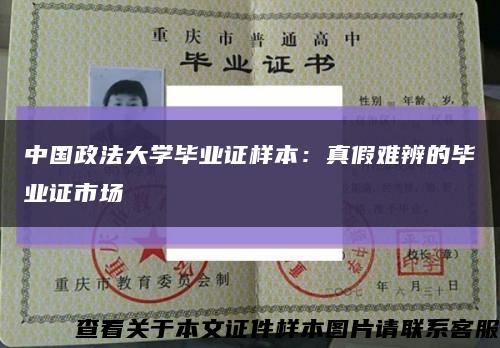 中国政法大学毕业证样本：真假难辨的毕业证市场缩略图